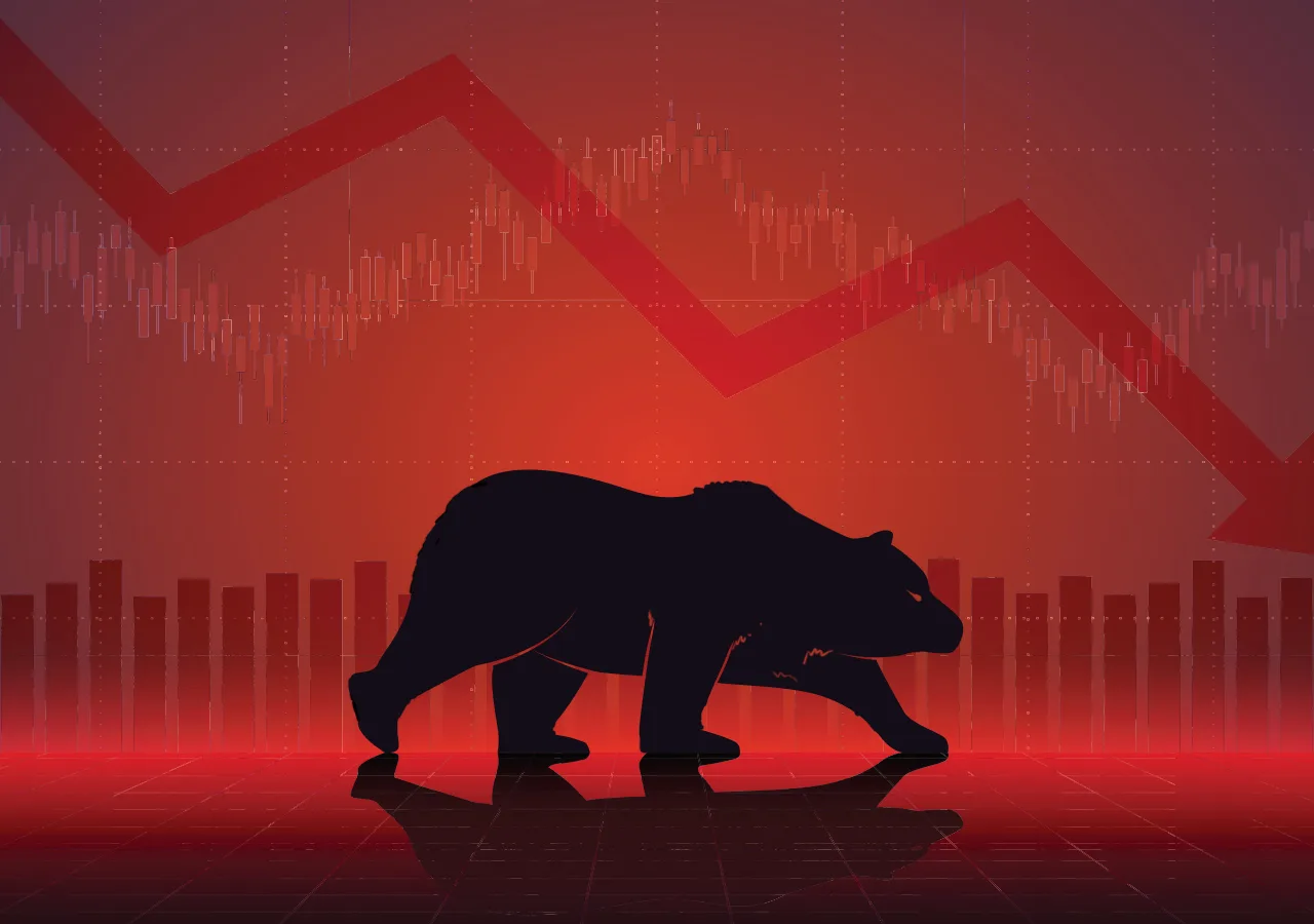 The Bear Market