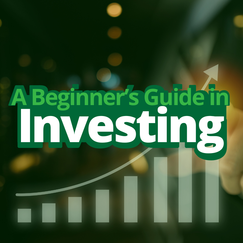 's Guide in Investing Feature Photo-diarynigracia