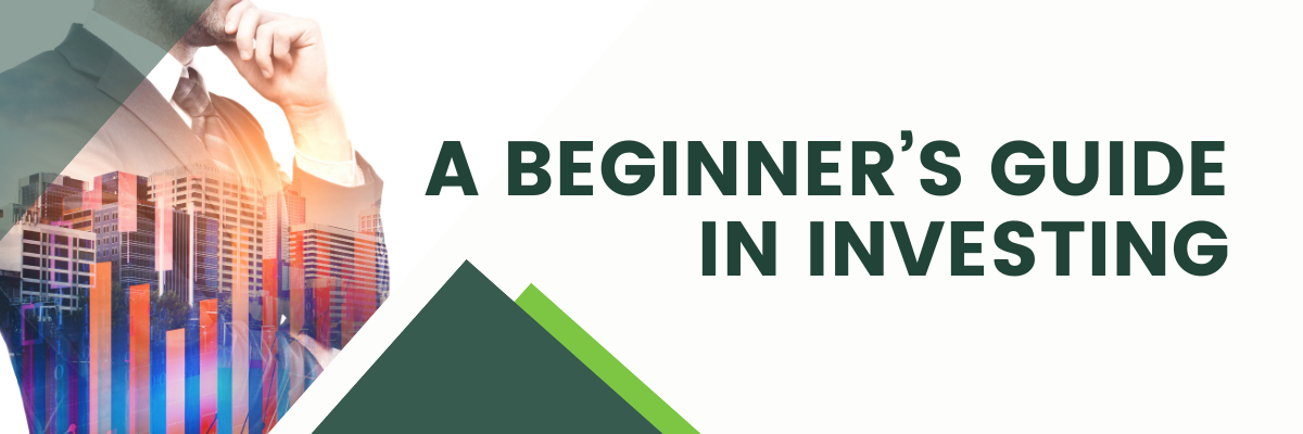 A Beginner's guide in investing Article Header-diarynigracia