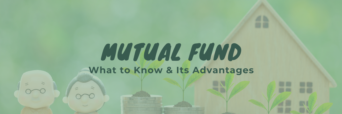 Mutual fund Article Header -diarynigracia