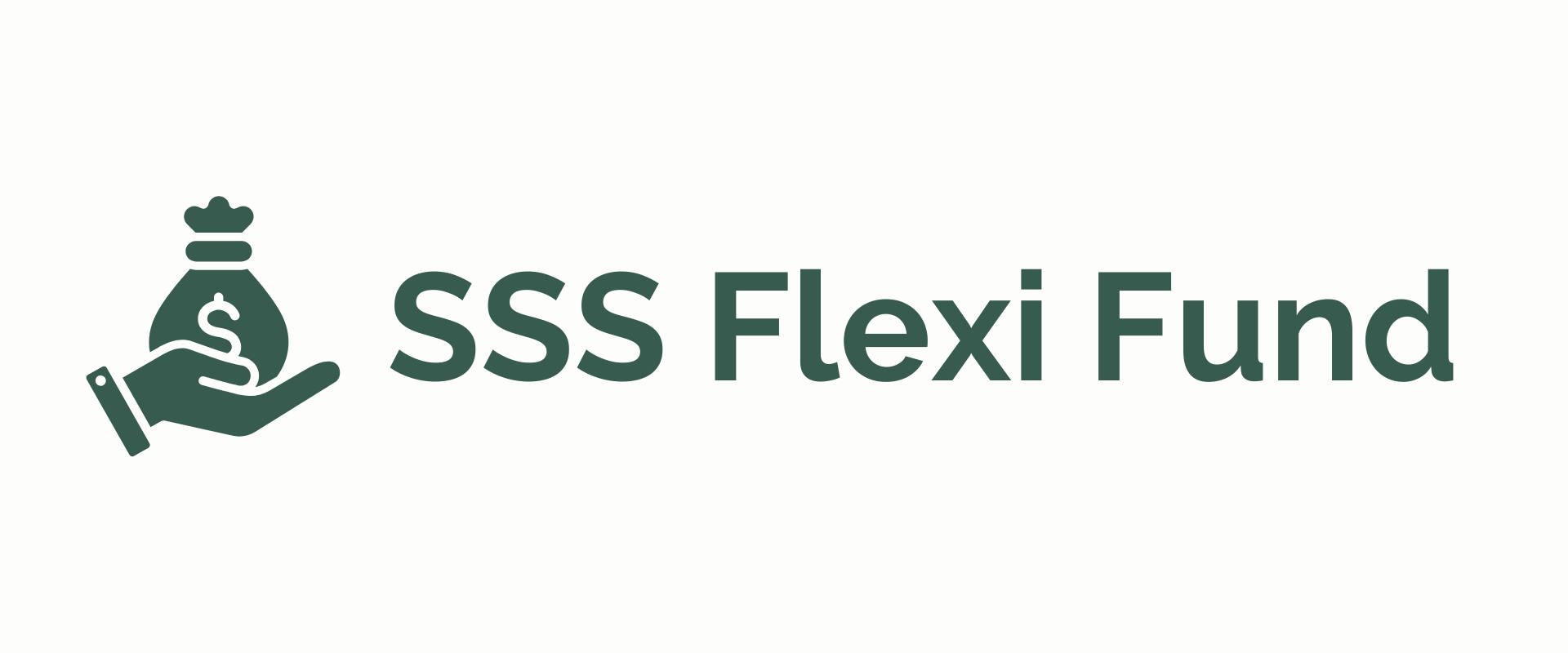 SSS Flexi Fund -diarynigracia