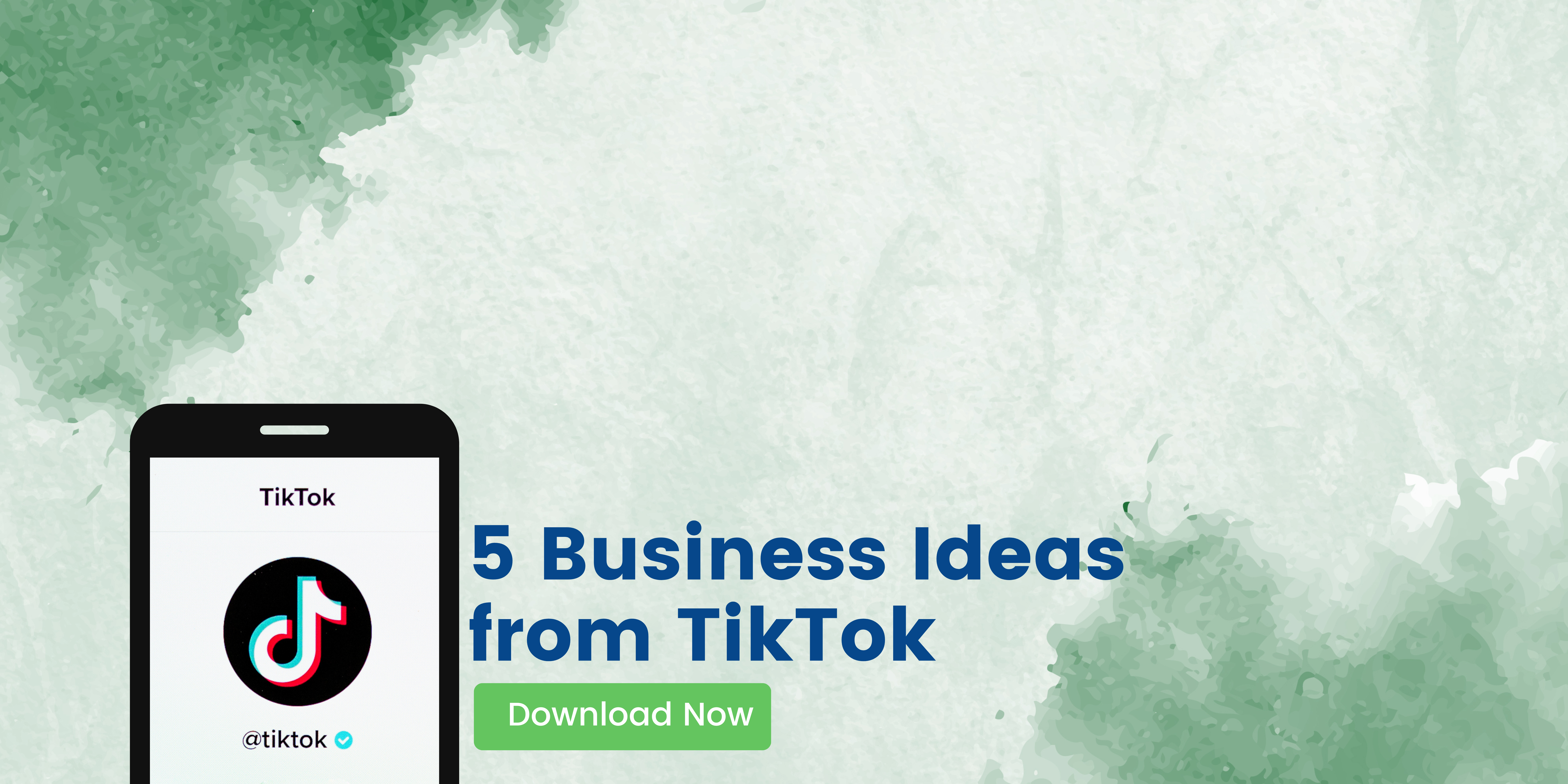 5 Business Ideas from TikTok Banner -diarynigracia