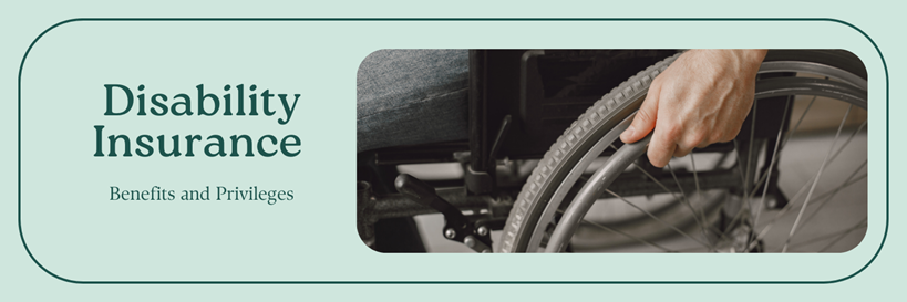 Disability Insurance Article 17 -diarynigracia