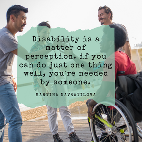 Disability quote Article 17 -diarynigracia