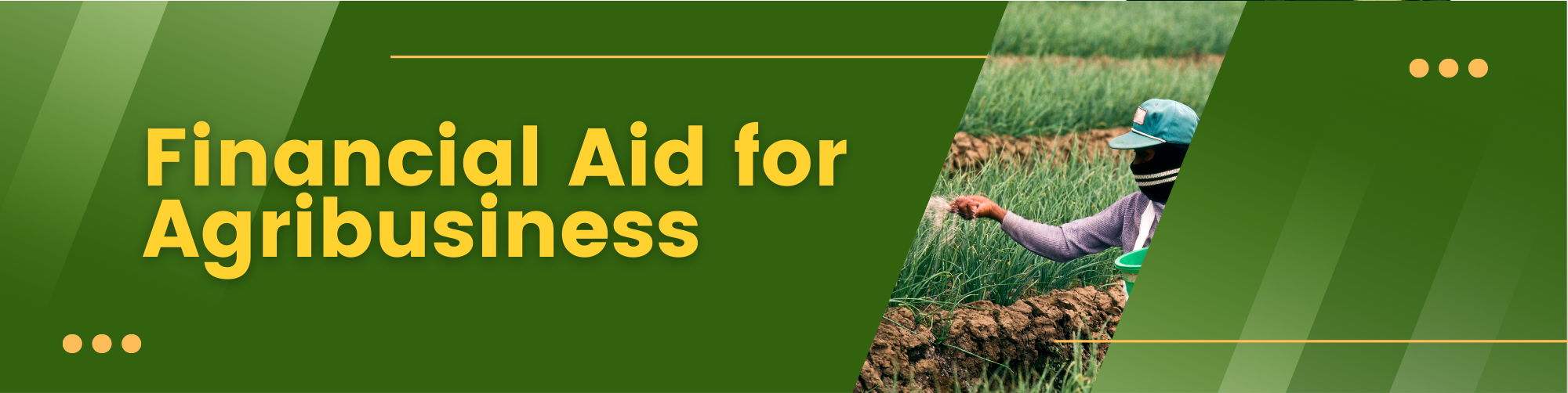 Financial Aid for Agribusiness Banner 12 -diarynigracia