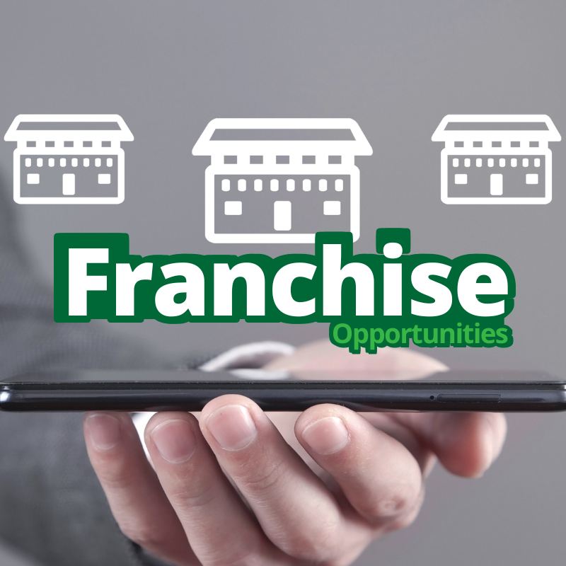 Franchise Opportunities for every budget -diarynigracia