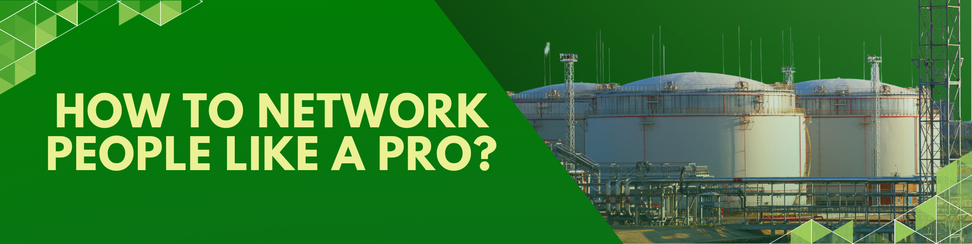 How To Network People Like a Pro Banner 13 -diarynigracia