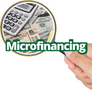 Microfinancing; Aid for early-stage business -diarynigracia