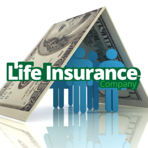 Life Insurance Company -diarynigracia