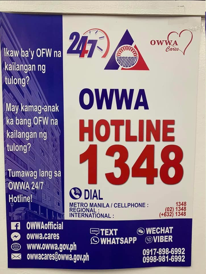 OWWA hotline