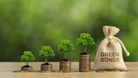 Sustainable Investment: Green Bonds